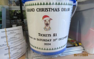 Grand Christmas Draw