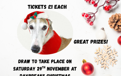 Daybreaks Christmas Raffle