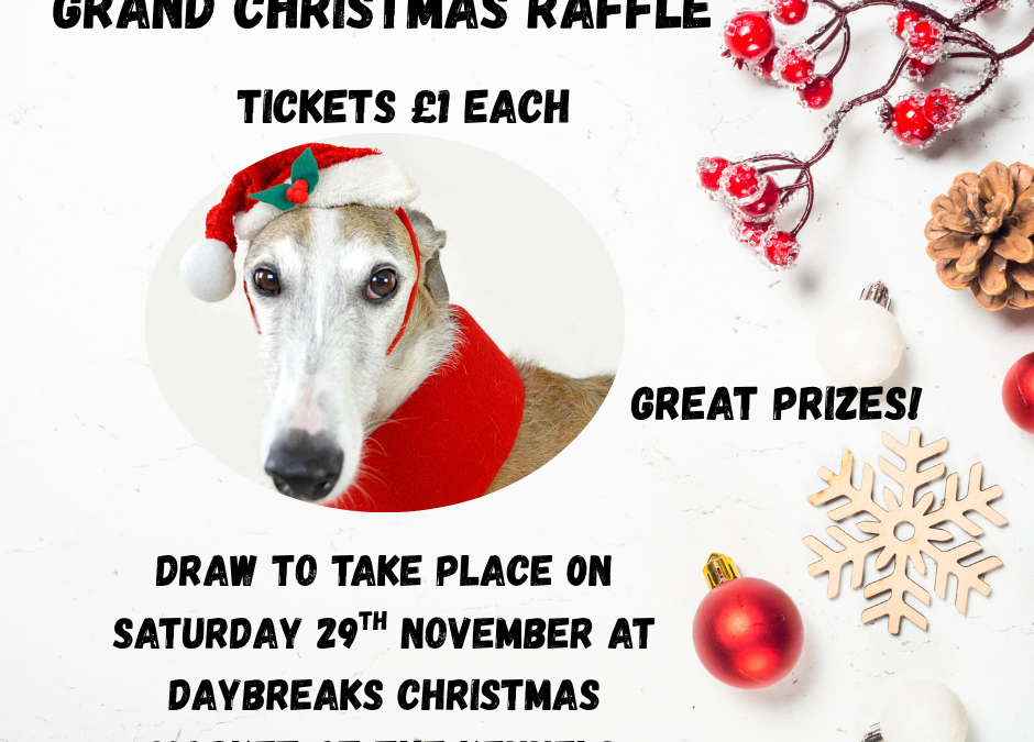 Daybreaks Christmas Raffle