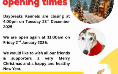 Christmas opening times