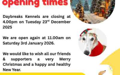 Christmas opening times