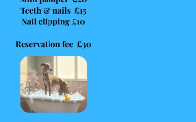 New suggested donations